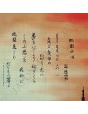 Furoshiki 50x50 - Ballad for Gion