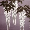 Linen parma Noren - Shirafuji. Japanese curtains