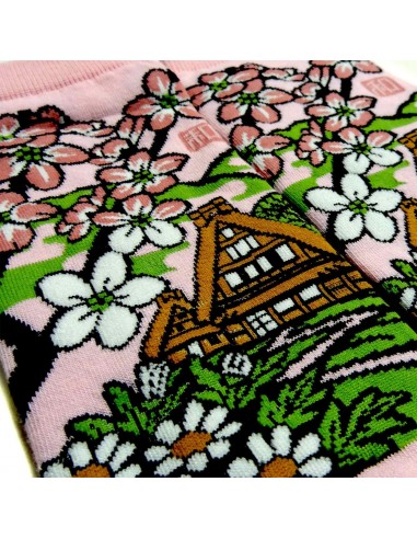 Chaussettes japonaises Tabi - Du 35 au 39 - Minka. Chaussettes à orteils.