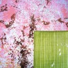 Furoshiki tissu japonaise 50x50 - Shidarezakura. Emballage cadeaux réutilisable en tissu.