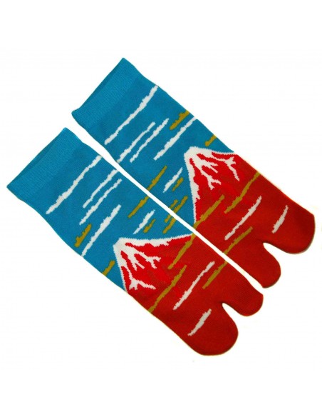Tabi Japanese  socks Size 39 to 43 - Gaifû kaisei print. Split toes flip flop socks.